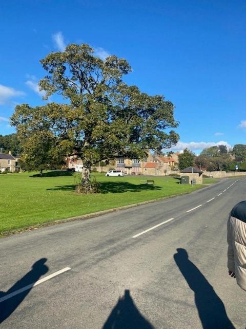 Clearwater 17Th Century Cottage リッチモンド エクステリア 写真